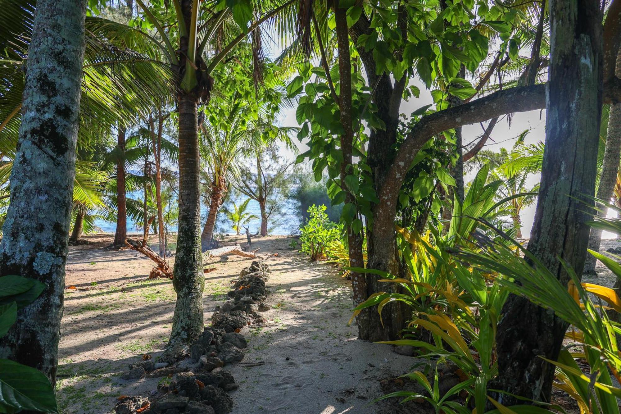 Inave Holidays ラロトンガ島 エクステリア 写真